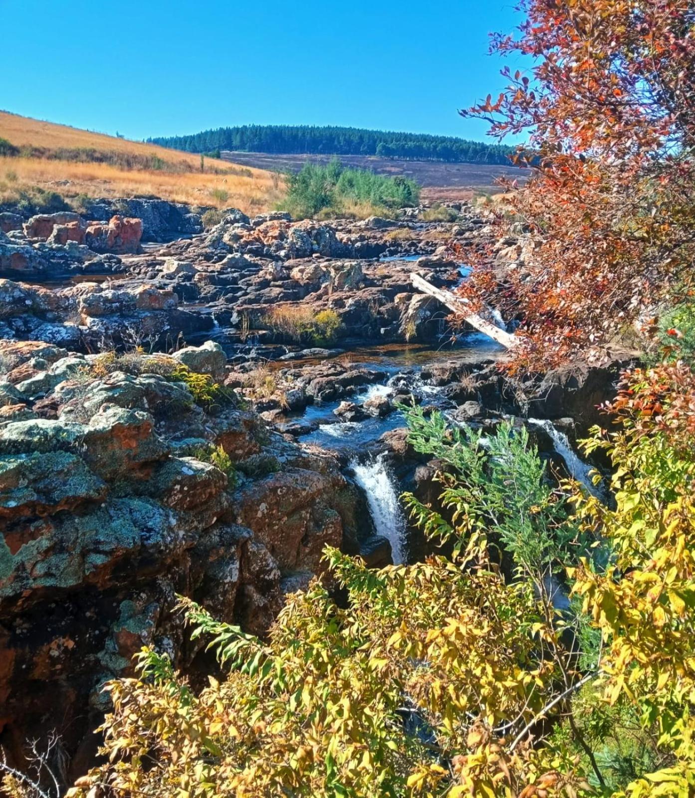 Eagles Nest Chalets Хейзивю Екстериор снимка