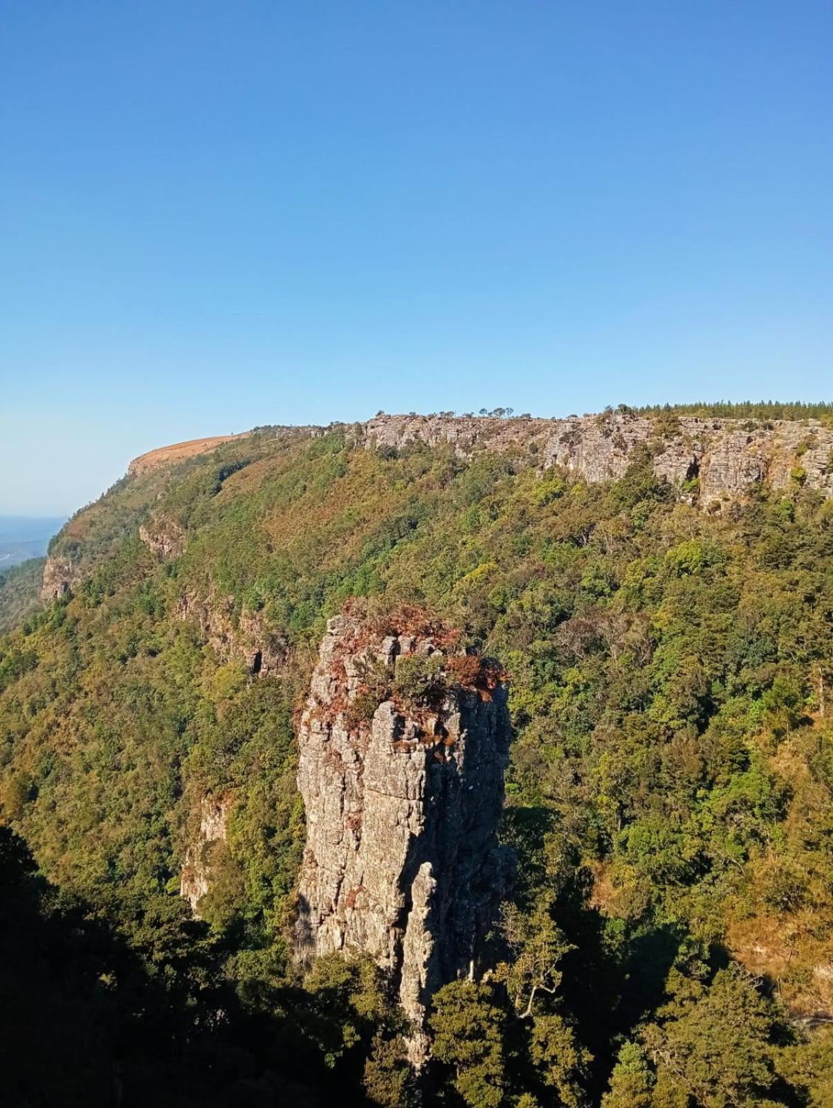Eagles Nest Chalets Хейзивю Екстериор снимка